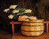 Cesteria Rurale Minervino Murge